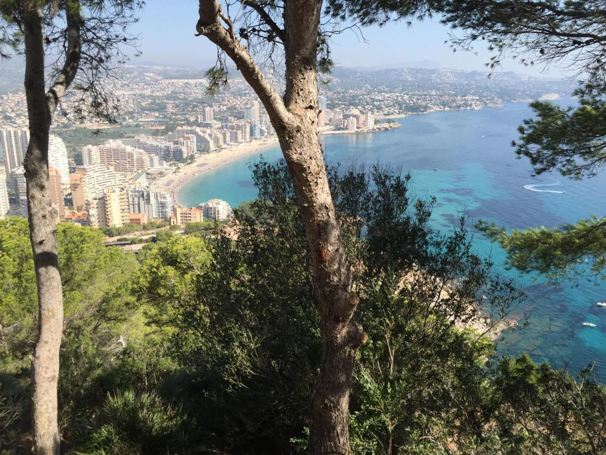 Appartement Mesana 102 / Penthouse à Calp Extérieur photo